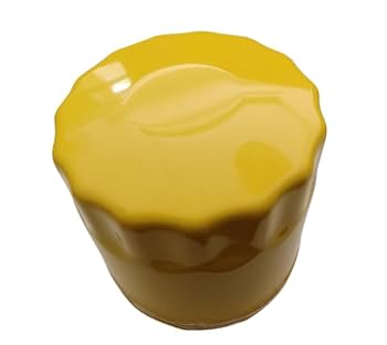 Amazon.com : 52 050 02-S Oil Filter Fits CH11-CH25 CV11-CV22